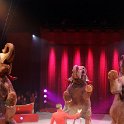 0080Heilbronner Weihnachtscircus2012(c)Stefan Nolte-www.circusphotos.de_resized_resized.jpg